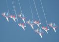 'Swifts' and 'Russian Knights'