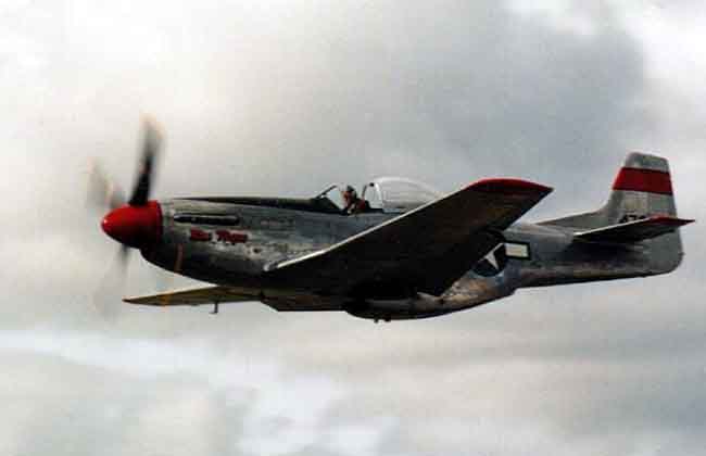 Mustang flying level, front and side view