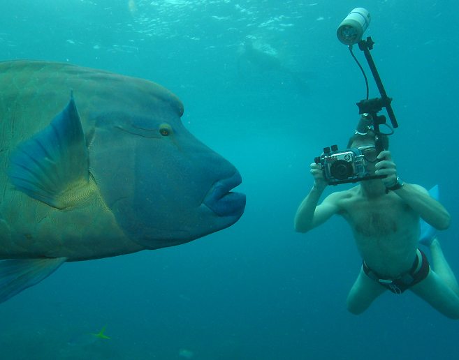 me photographing a Napoleon Wrasse using a Canon G2 digital camera in an Ikelite housing