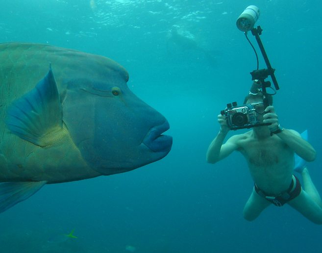  Underwater digital photography