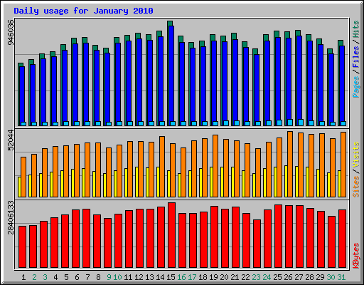 Daily usage for January 
2010