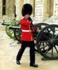 Bearskin clad guard at the Tower of London