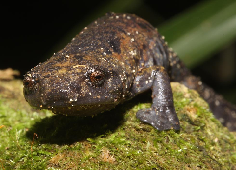 click here to open a new window with this photo in computer wallpaper format