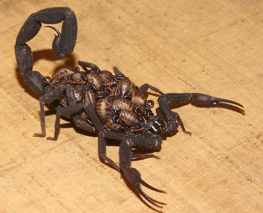 click here to open a new window with this photo in computer wallpaper format