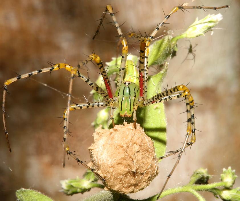 click here to open a new window with this photo in computer wallpaper format