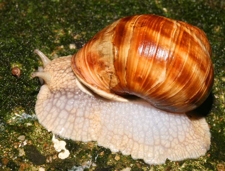 click here to open a new window with this photo in computer wallpaper format