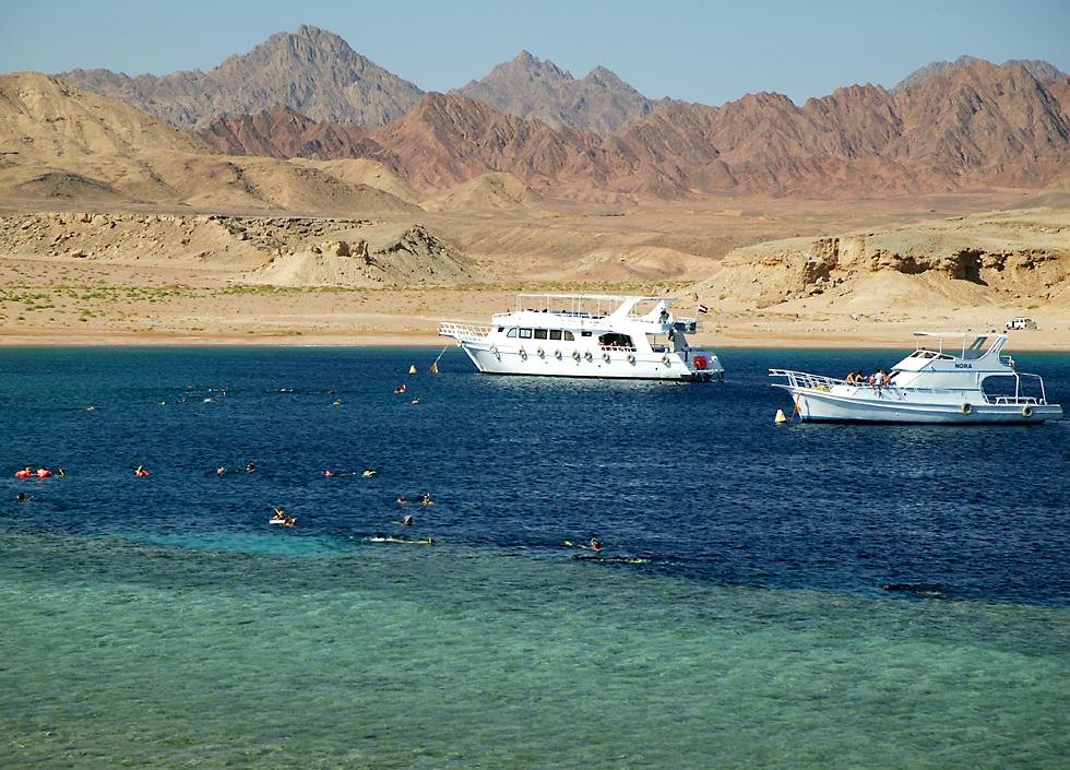 click here to open a new window with this photo in computer wallpaper format