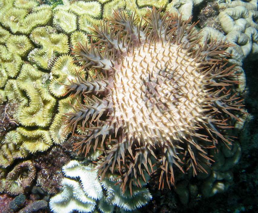 click here to open a new window with this photo in computer wallpaper format