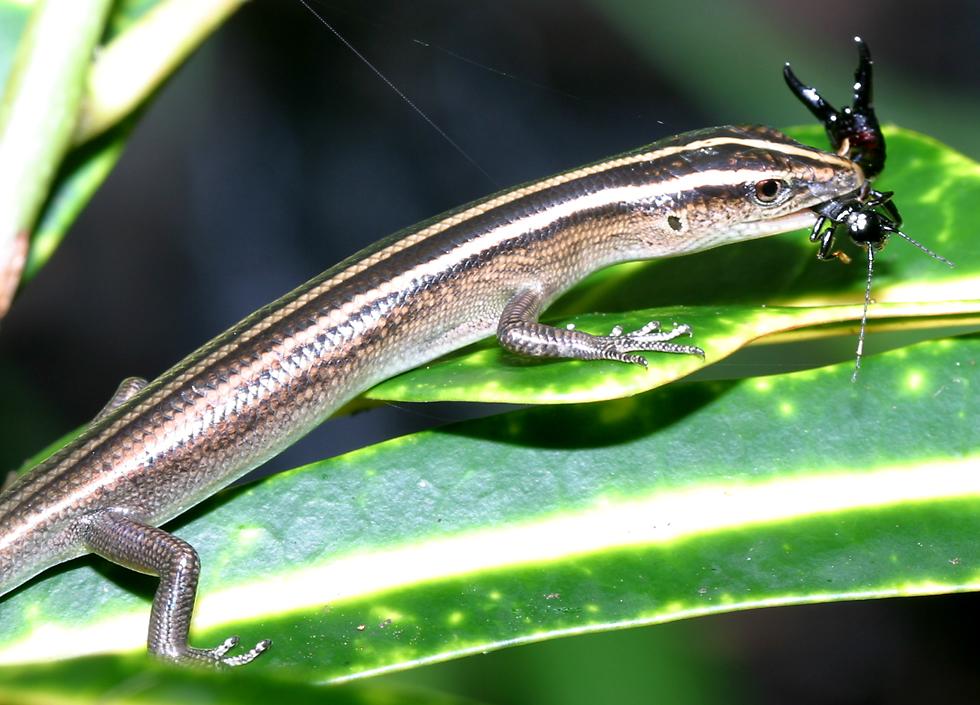 click here to open a new window with this photo in computer wallpaper format