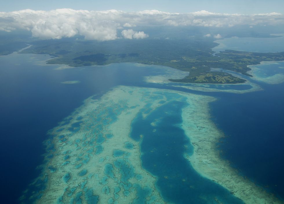 click here to open a new window with this photo in computer wallpaper format