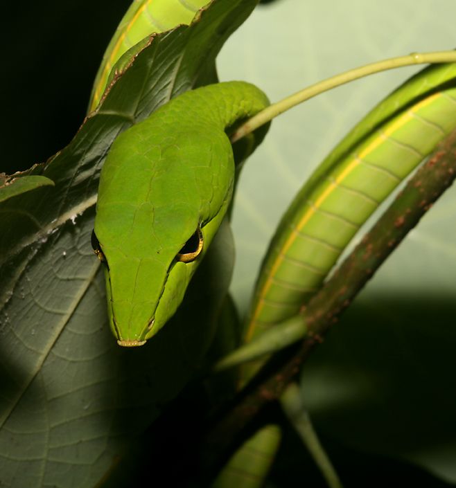 click here to open a new window with this photo in computer wallpaper format