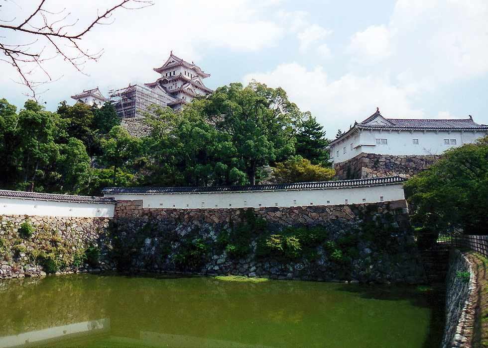 Himeji castle across a pond