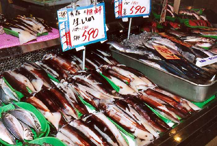 fresh squid and other fish