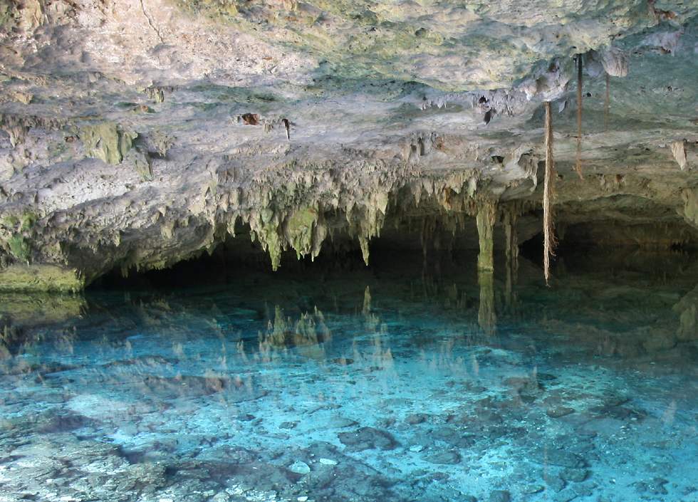 click here to open a new window with this photo in computer wallpaper format