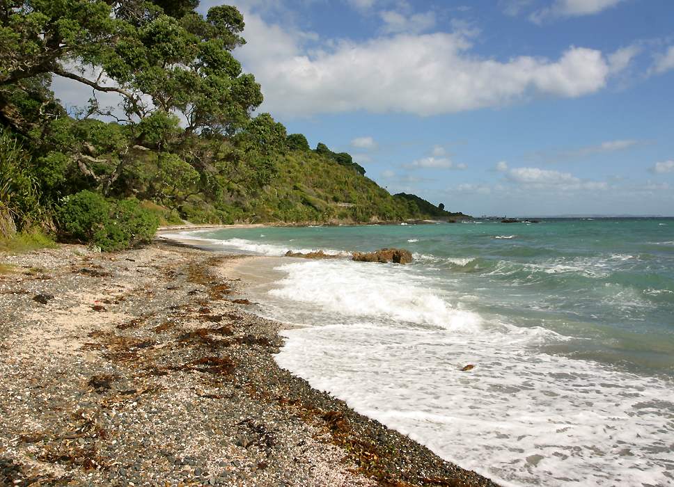 the shore near Papakura Pa