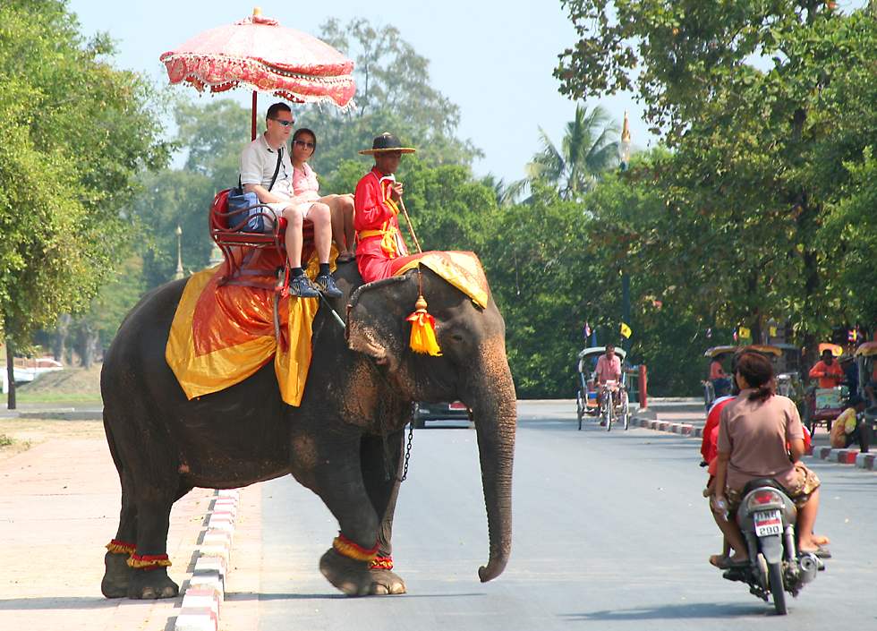 Bangkok-Elephant