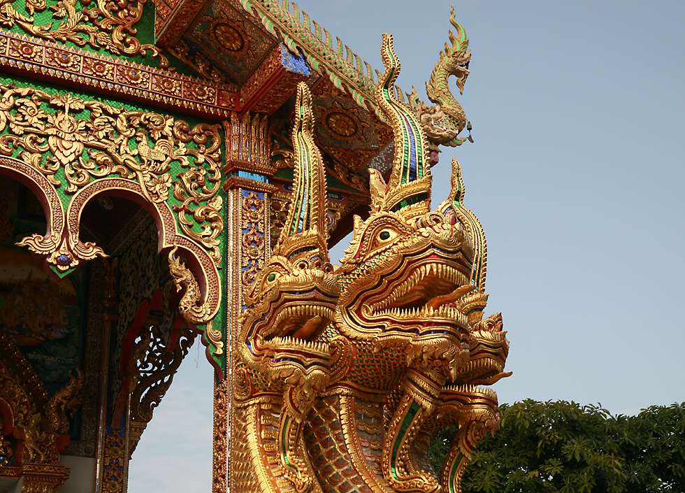 click here to open a new window with this photo in computer wallpaper format