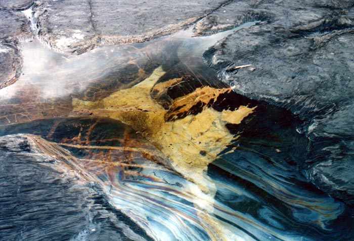 mother and distillates in a waterhole