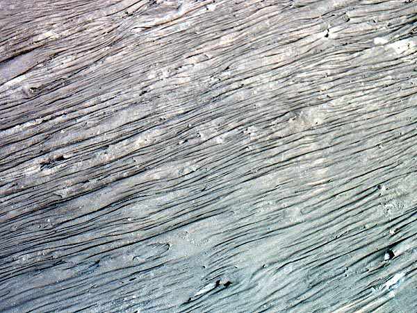 wrinkled skin of the lake