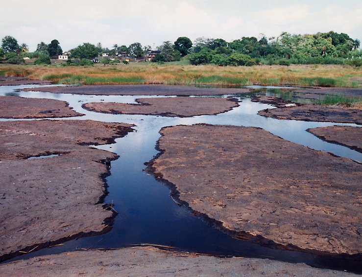 The edge of Pitch Lake with ponds and swamp plants