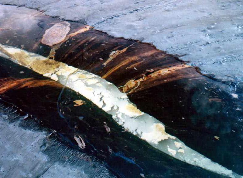 waterhole with mother at the bottom