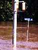 flooded crosswalk