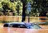 flooded car and road sign