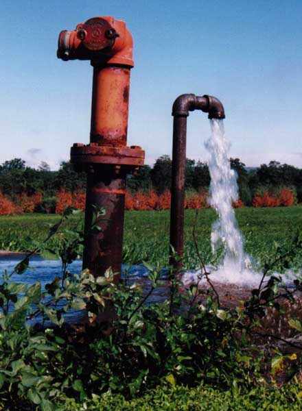 A shocking revelation of unbelievable horror.