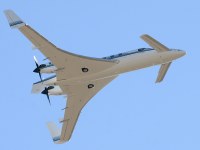 photographed in June of 2004 using a Canon 10D camera and Canon 100-400mm image stabilized lens set to 220mm  (1/750th second, f8, ISO 400)