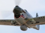 photographed at the 2006 Prescott Air Fair (Arizona Skyfest) using a Canon 20D camera and Canon 100-400mm image stabilized lens set to 370mm  (1/180th second, f11, ISO 200)