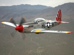 photographed at the 2006 Nellis AFB 'Aviation Nation' airshow using a Canon 5D camera and Canon 28-135mm image stabilized lens set to 105mm  (1/250th second, f5.6, ISO 100)