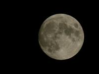 photographed using a Canon D60 digital camera and Canon 100-400mm image stabilization lens