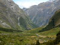 photographed in February of 2003 using a Canon D60 digital camera and Canon 28-105mm lens set to 55mm  (1/180th second, f4.5, ISO 100)