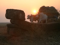 photographed in January of 2009 using a Canon 5D camera and Canon 28-135mm image stabilized lens set to 70mm  (1/90th second, f4.5, ISO 200)