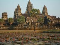 photographed in January of 2009 using a Canon 5D camera and Canon 28-135mm image stabilized lens set to 70mm  (1/125th second, f4.5, ISO 200)