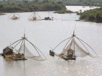 photographed in January of 2009 using a Canon 50D camera and Canon 100-400mm image stabilized lens set to 100mm  (1/500th second, f9.5, ISO 200)