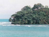 photographed in January of 2001