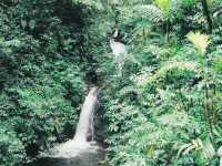 photographed in January of 2001