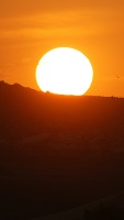 photographed in December of 2003 using a Canon 1Ds digital camera and Canon 100-400mm image stabilized lens set to 400mm  (1/500th second, f6.7, ISO 100)