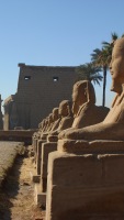 avenue of the sphinxes at Luxor temple photographed in December of 2003 using a Canon D60 digital camera and Canon 28-105mm lens set to 28mm  (1/180th second, f6.7, ISO 100)
