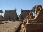 avenue of the sphinxes at Luxor temple photographed in December of 2003 using a Canon D60 digital camera and Canon 28-105mm lens set to 28mm  (1/180th second, f6.7, ISO 100)