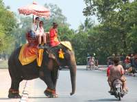 photographed in November of 2007 using a Canon 5D camera and Canon 28-135mm image stabilized lens set to 135mm  (1/90th second, f8, ISO 200)