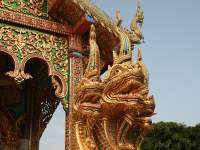 photographed in November of 2007 using a Canon 5D camera and Canon 28-135mm lens set to 65mm  (1/125th second, f8, ISO 200)