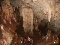 photographed in November of 2007 using a Canon 5D camera and Canon 28-135mm image stabilized lens set to 28mm  (1/45th second, f4, ISO 200)