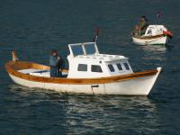 photographed in January of 2004 using a Canon D60 camera and Canon 28-105mm lens set to 102mm  (1/250th second, f4.5, ISO 100)