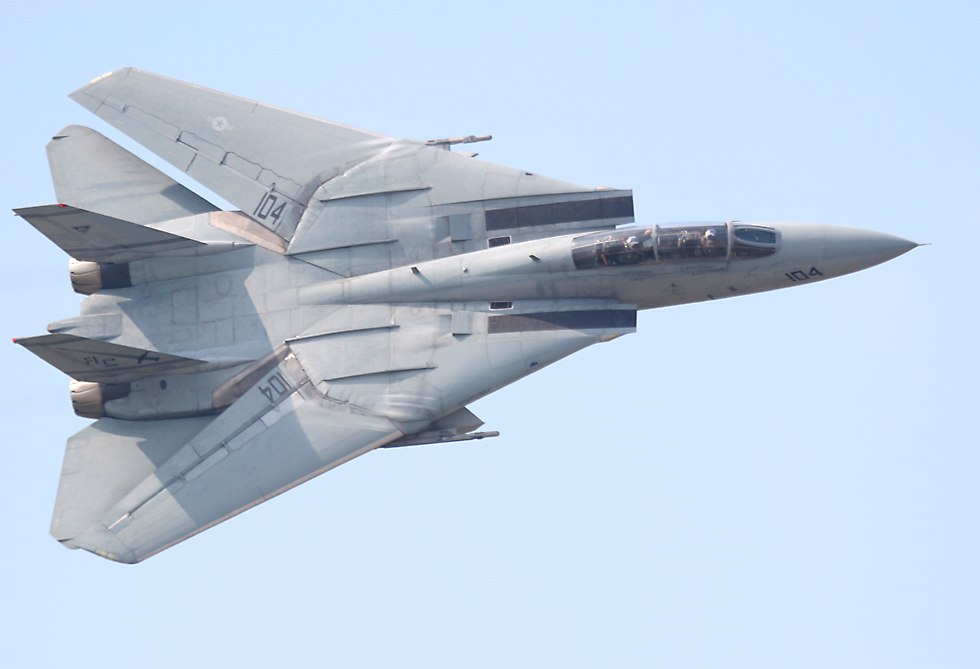lodret Bryde igennem Ejendommelige F-14 Tomcats at the Naval Air Station Oceana Airshow