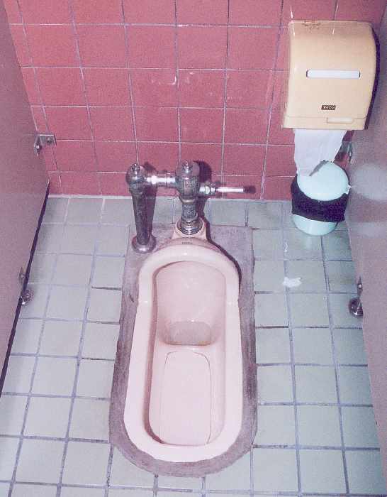 Asian style toilet