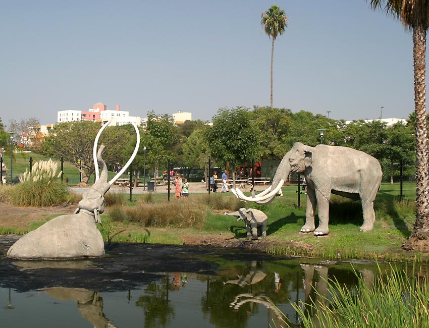 click here to open a new window with this photo in computer wallpaper format