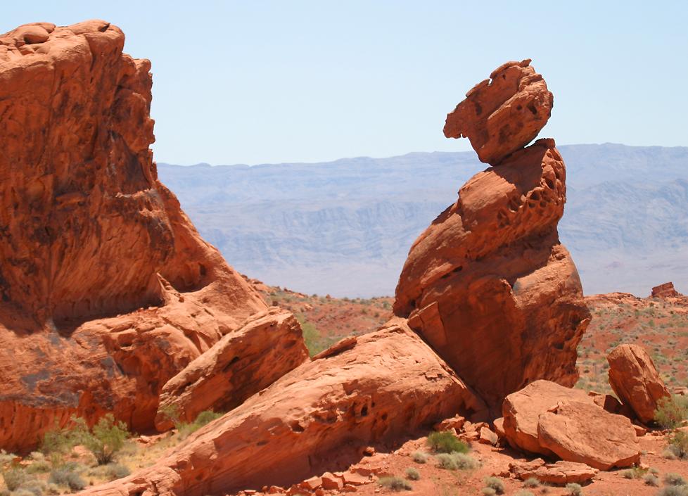 click here to open a new window with this photo in computer wallpaper format