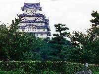 Himeji castle, The White Egret, with a grey heron in the foreground